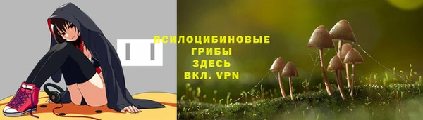 прущая мука Болхов