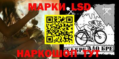 a pvp Бердск