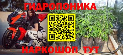 a pvp Бердск