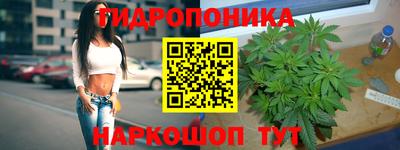 a pvp Бердск