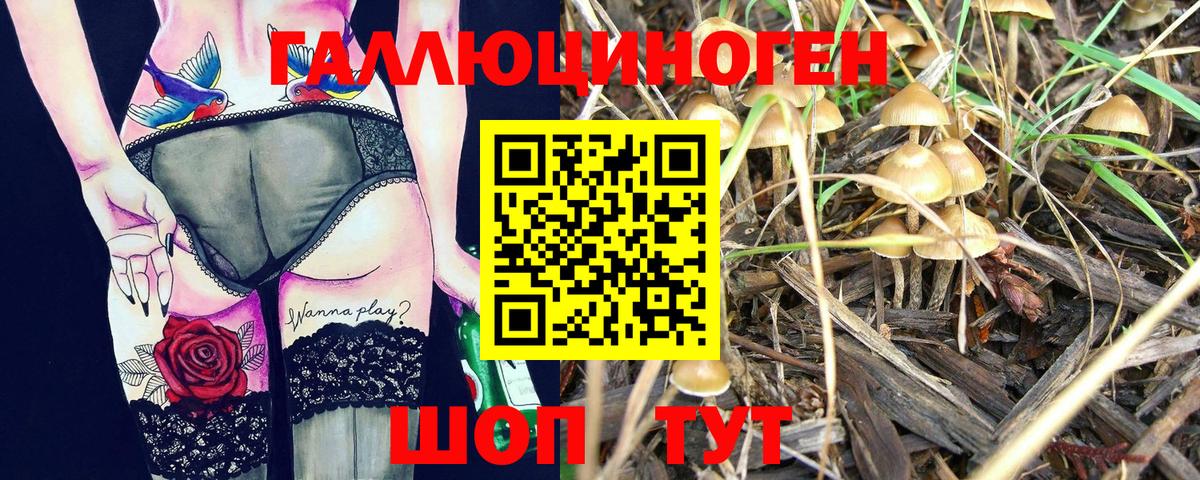 Галлюциногенные грибы ЛСД  Галлюциногенные грибы Cubensis  Маркс  Вход с VPN 