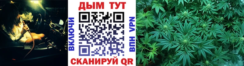 где продают   Маркс  Каннабис индика 